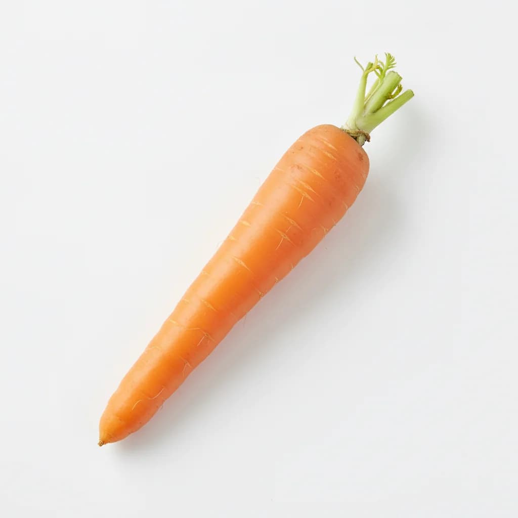 Carrot