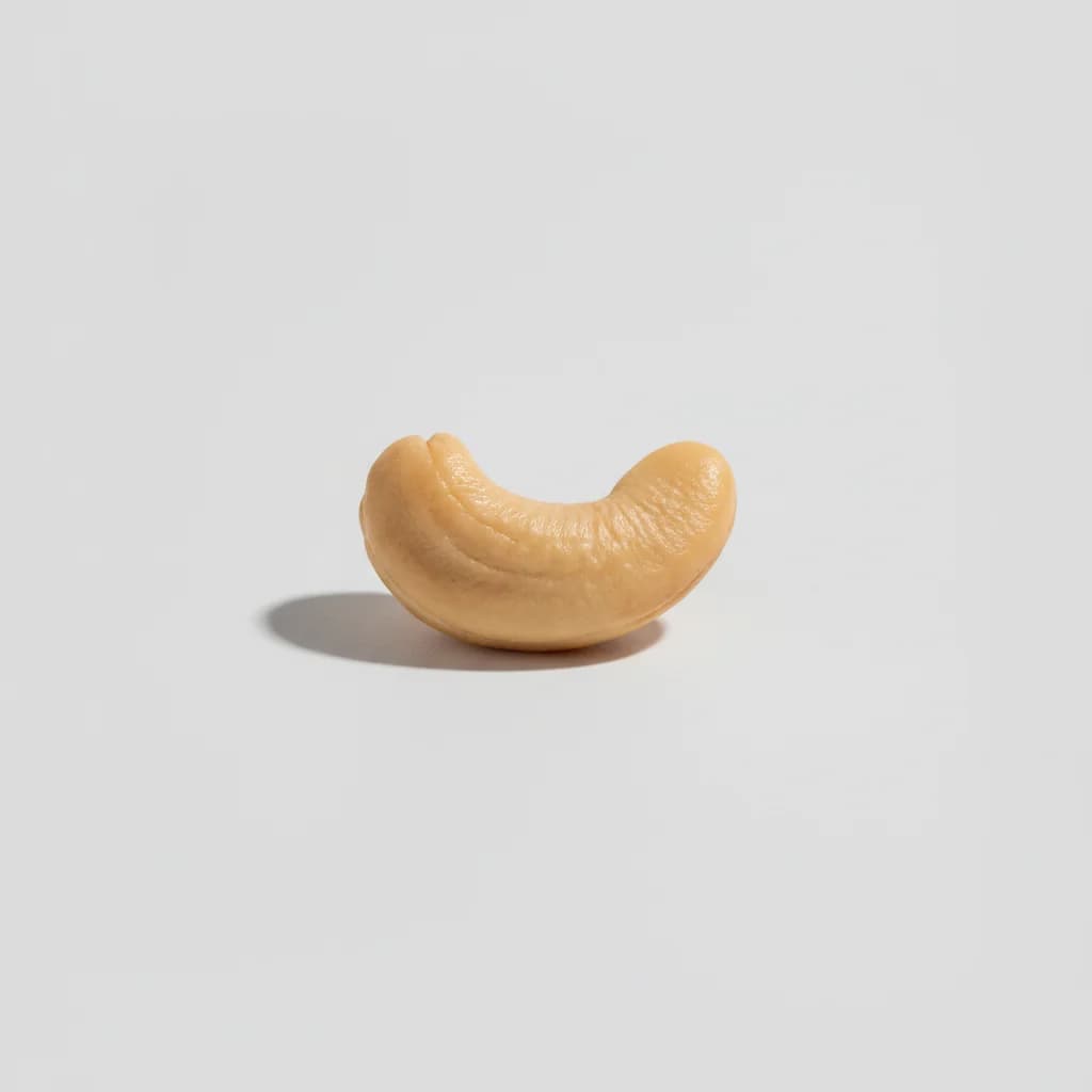 Cashew